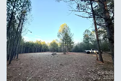 0 Steen Road, Mount Croghan, SC 29727 - Photo 10