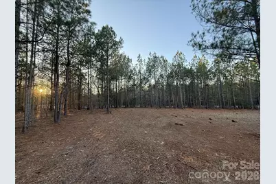 0 Steen Road, Mount Croghan, SC 29727 - Photo 12
