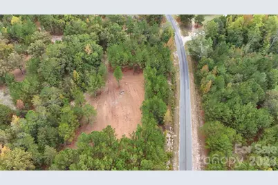 0 Steen Road, Mount Croghan, SC 29727 - Photo 6