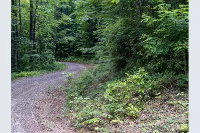 8 Carls Cove Road, Black Mountain, NC 28711 - Photo 14