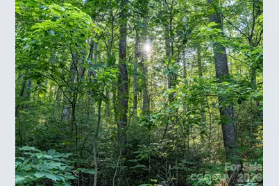 8 Carls Cove Road, Black Mountain, NC 28711 - Photo 18