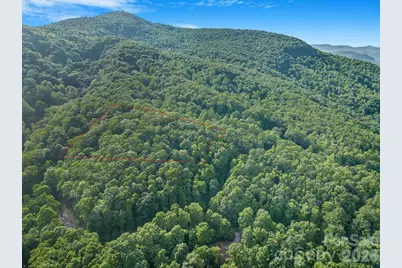 8 Carls Cove Road, Black Mountain, NC 28711 - Photo 4
