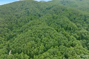 8 Carls Cv Rd, Black Mountain, NC 28711 - Photo 1