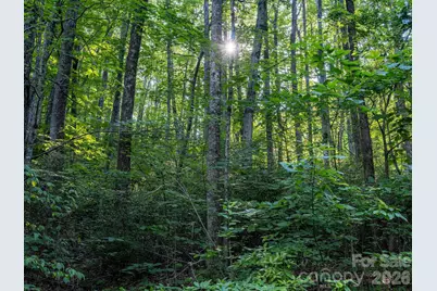 8 Carls Cove Road, Black Mountain, NC 28711 - Photo 20
