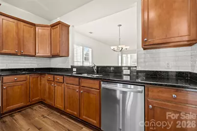 48451 Snapdragon Lane, Indian Land, SC 29707 - Photo 8