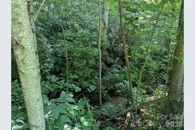 46 Settings Boulevard #139, Black Mountain, NC 28711 - Photo 14
