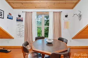 349 Spring Creek Rd, Bakersville, NC 28705 - Photo 28