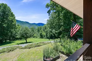 349 Spring Creek Rd, Bakersville, NC 28705 - Photo 16