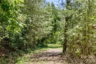 15 Vlg Grn Dr, Alexander, NC 28701 - Photo 44