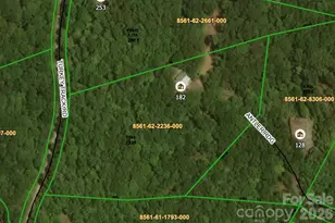 182 Antler Ridge, Rosman, NC 28772 - Photo 38