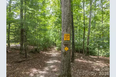 441 Lower Ridgeview Road, Columbus, NC 28722 - Photo 4