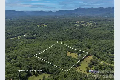 441 Lower Ridgeview Road, Columbus, NC 28722 - Photo 48