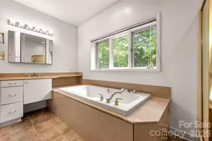 441 Lower Ridgeview Rd, Columbus, NC 28722 - Photo 26