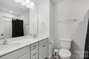 16704 Summers Walk Blvd, Davidson, NC 28036 - Photo 16