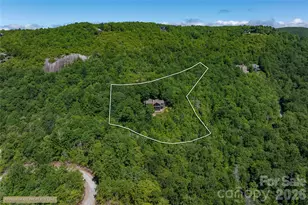 100 Mdw Rdg Dr, Lake Toxaway, NC 28747 - Photo 48