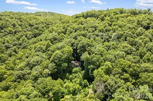 376 Stoney Brook Rd, Penrose, NC 28766 - Photo 20