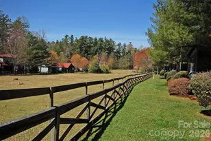 46 Rhett Dr, Flat Rock, NC 28731 - Photo 24