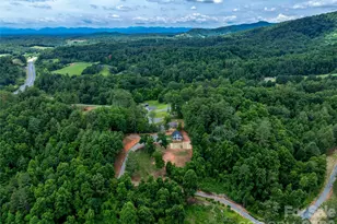 143 Fox Grape Hollow Rd, Mars Hill, NC 28754 - Photo 34