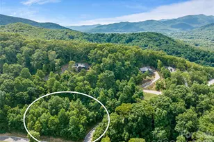 53 Old Lafayette Ln, Black Mountain, NC 28711 - Photo 1