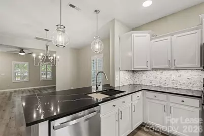 20021 Metaphor Mews None, Davidson, NC 28036 - Photo 12