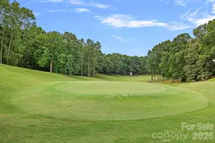 710 Fairway Point Dr, Tega Cay, SC 29708 - Photo 44