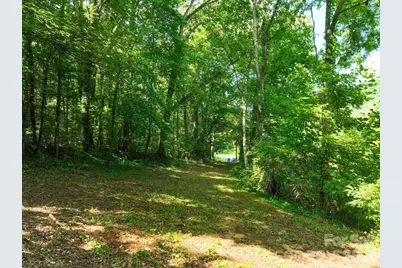 353 Chunns Cove Road, Asheville, NC 28805 - Photo 2