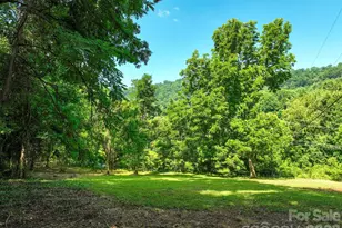 353 Chunns Cove Rd, Asheville, NC 28805 - Photo 1