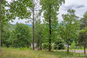 87 Holly Ridge Rd, Candler, NC 28715 - Photo 4