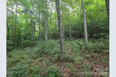 16 Courseview Drive, Weaverville, NC 28787 - Photo 4