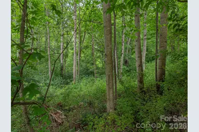 241 Clyde View Heights, Clyde, NC 28721 - Photo 4