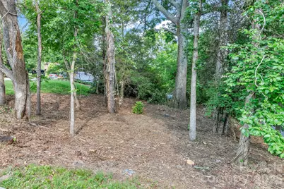 657 Old Fort Road, Fairview, NC 28730 - Photo 40