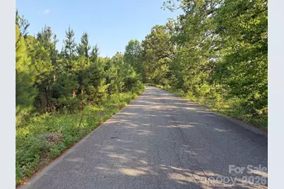 8169 Raccoon Track Drive, Sherrills Ford, NC 28673 - Photo 18