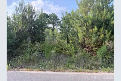 8169 Raccoon Track Drive, Sherrills Ford, NC 28673 - Photo 10