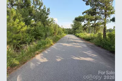 8169 Raccoon Track Drive, Sherrills Ford, NC 28673 - Photo 12