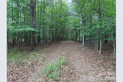 8169 Raccoon Track Drive, Sherrills Ford, NC 28673 - Photo 2