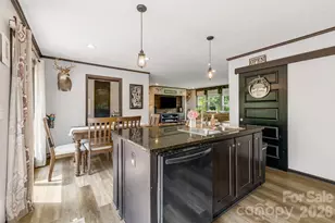 256 Phillips Valley Rd, Mars Hill, NC 28754 - Photo 8