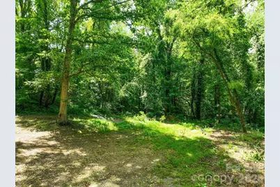 99999 Chunns Cove Road, Asheville, NC 28805 - Photo 1