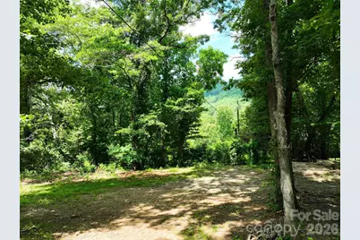 99999 Chunns Cove Road, Asheville, NC 28805 - Photo 2
