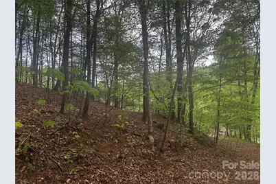 00 McPeters Lane, Burnsville, NC 28714 - Photo 8