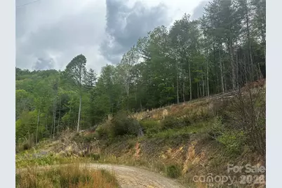 00 McPeters Lane, Burnsville, NC 28714 - Photo 6