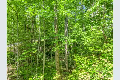 Lot 82 Lakewood Drive, Lake Lure, NC 28746 - Photo 10