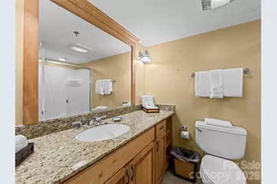 310 Bowling Park Road, Asheville, NC 28803 - Photo 24