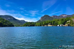 160 Whitney Blvd, Lake Lure, NC 28746 - Photo 18