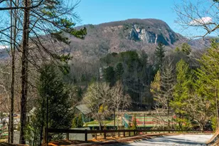 160 Whitney Blvd, Lake Lure, NC 28746 - Photo 20