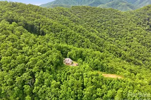 946 140 83 Honeysuckle Ridge, Almond, NC 28702 - Photo 32