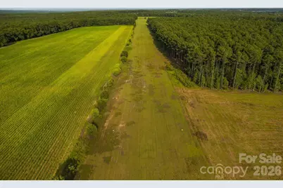 121 Athens School Road, Gaston, SC 29053 - Photo 34