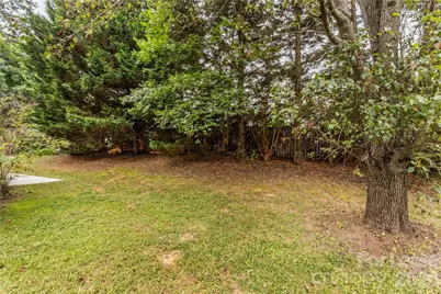 123 Meadow Lilly Court, Mooresville, NC 28115 - Photo 36