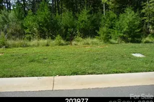 6024 Headlands Ct, Belmont, NC 28012 - Photo 1