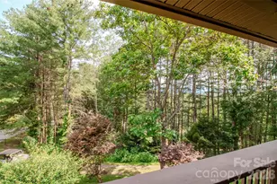 49 Jake Dr, Canton, NC 28716 - Photo 32