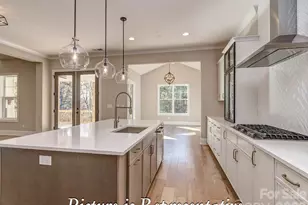 3716 Rivergrass Lane, York, SC 29745 - Photo 14